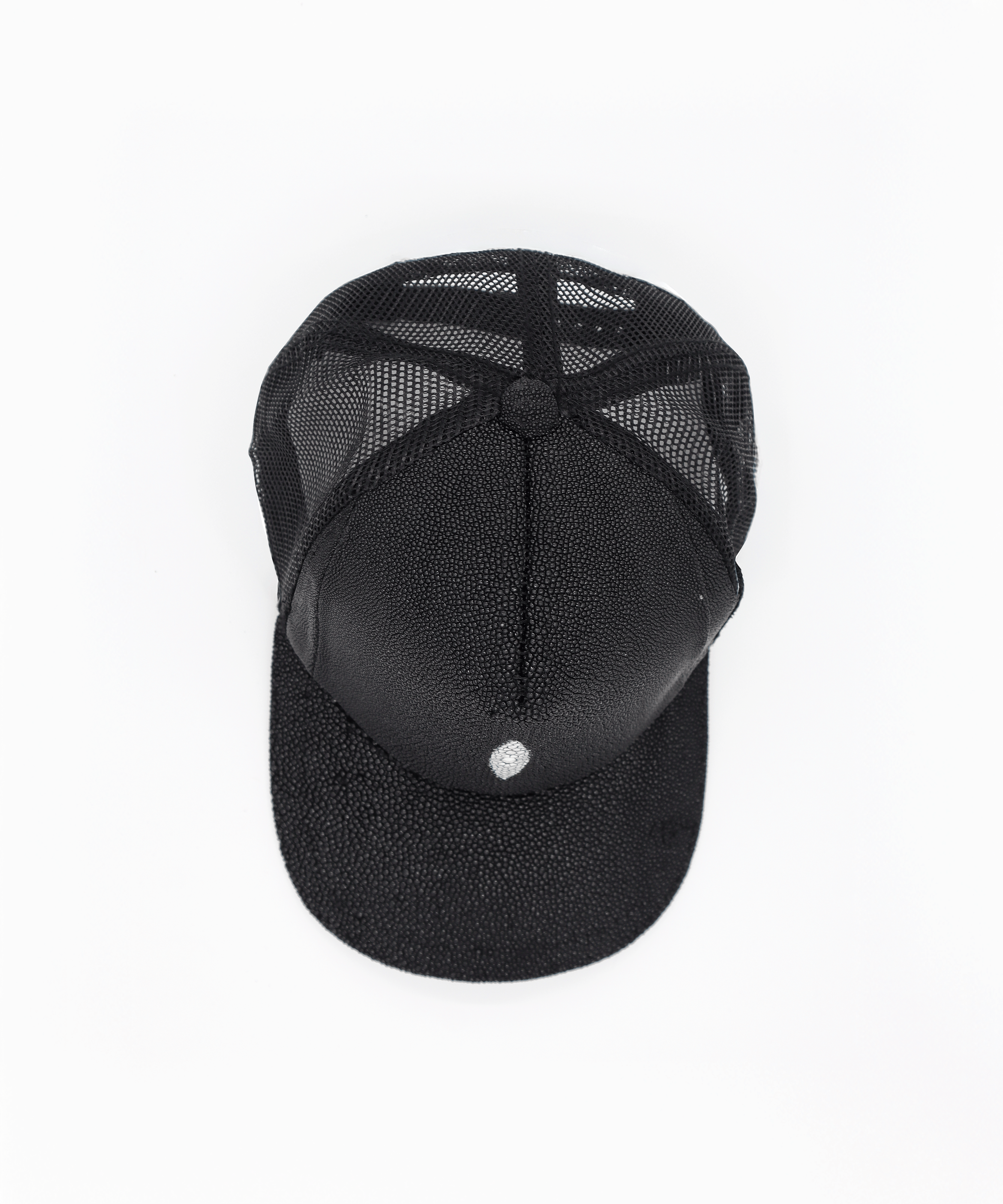 Gorra exótica de mantarraya (Mitad Malla)